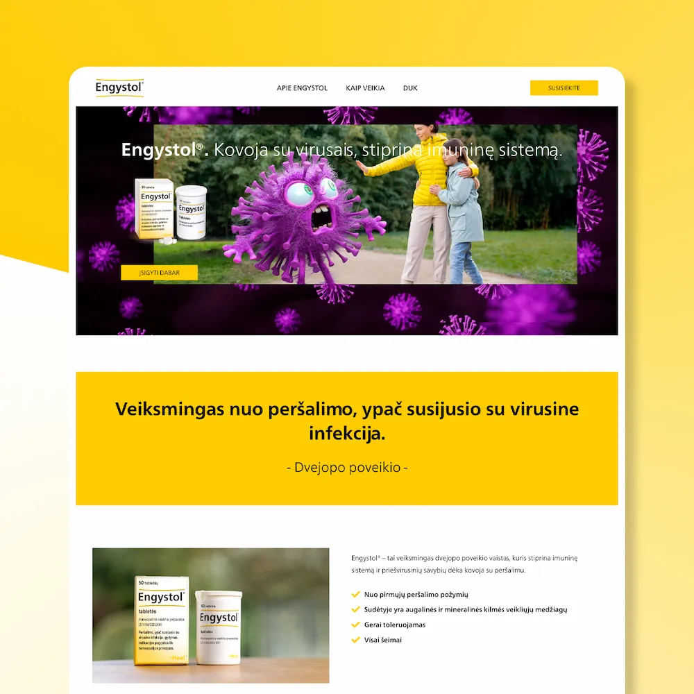 Internetines svetaines kurimas