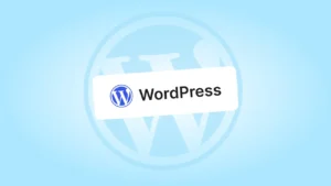 WordPress svetainių kūrimas verslui – EDVI pavyzdys