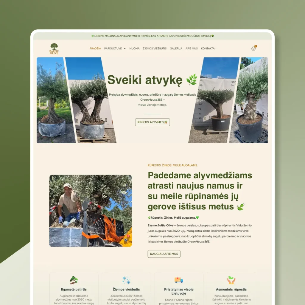 Individuali internetinė parduotuvė