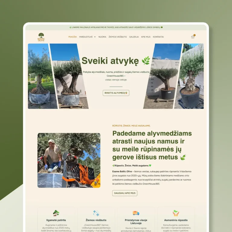 Individuali internetinė parduotuvė